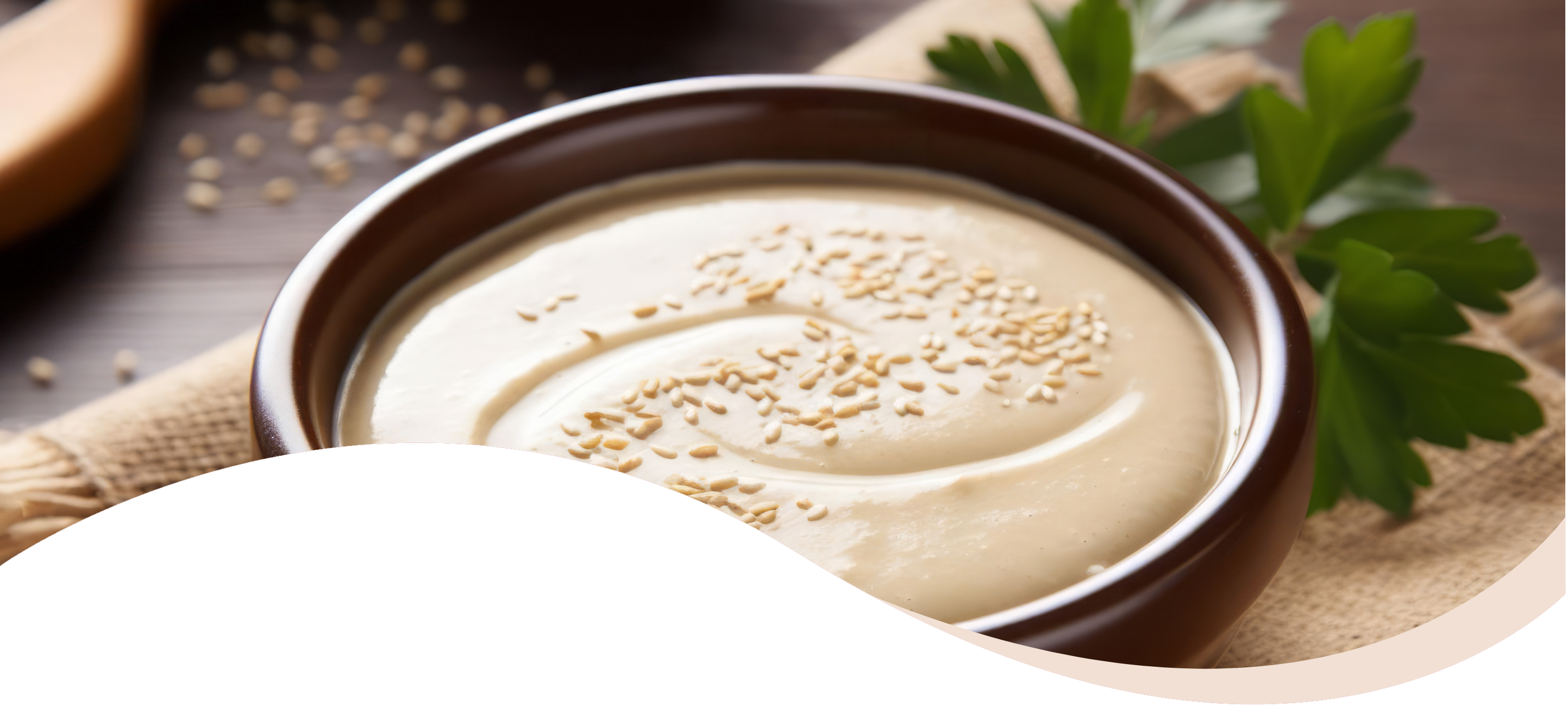 Our Geographical Presence 