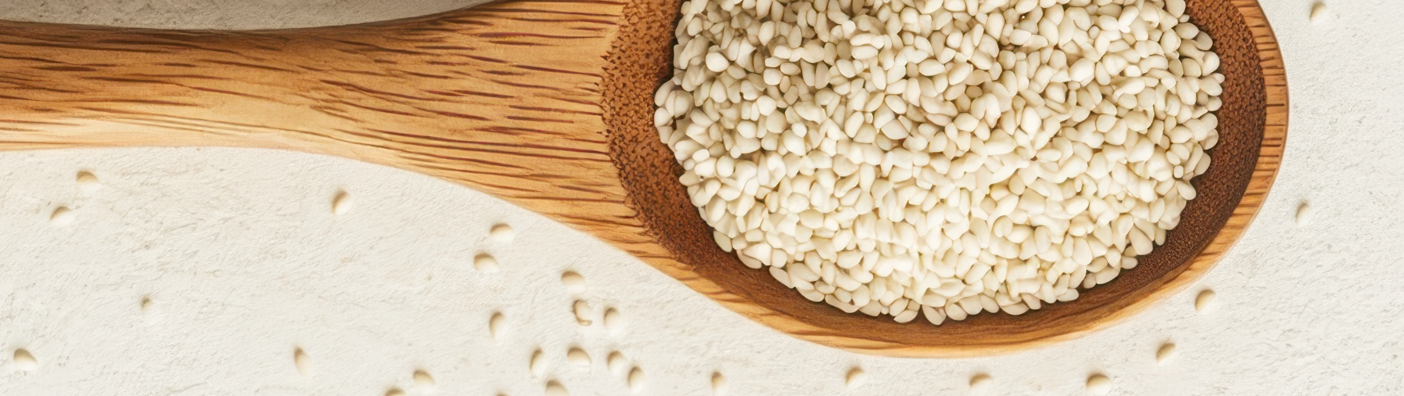 Al Ameera, Where Sesame Becomes Art