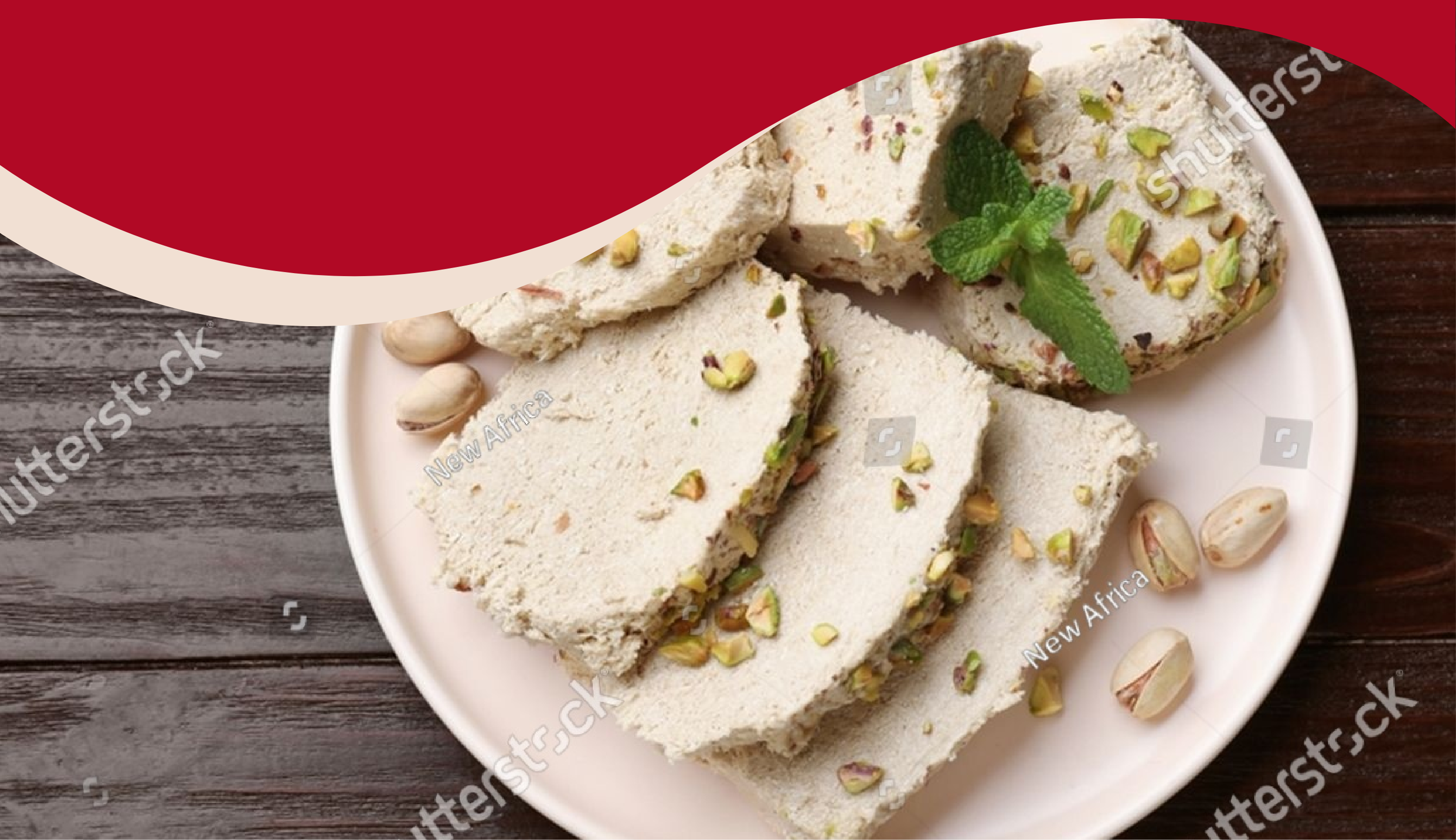 Our Geographical Presence 