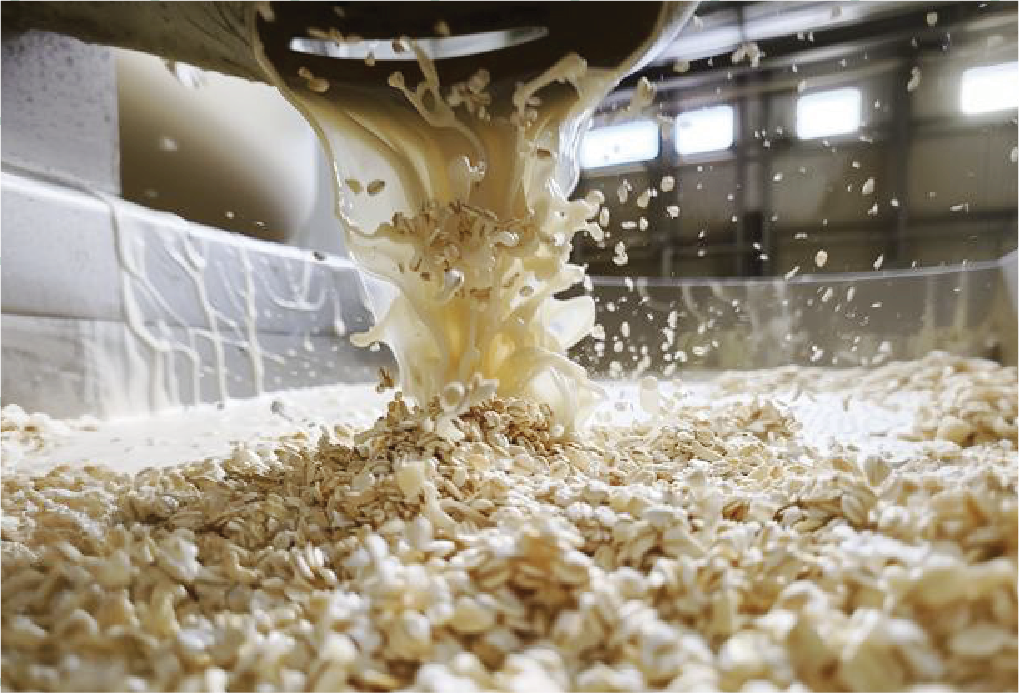 OUR PROCESSES